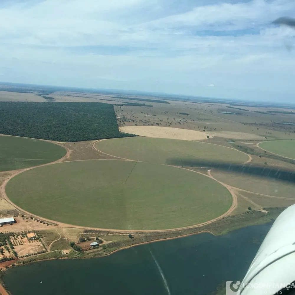 Fazenda - Foto 2