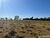 Fazenda - Foto 4