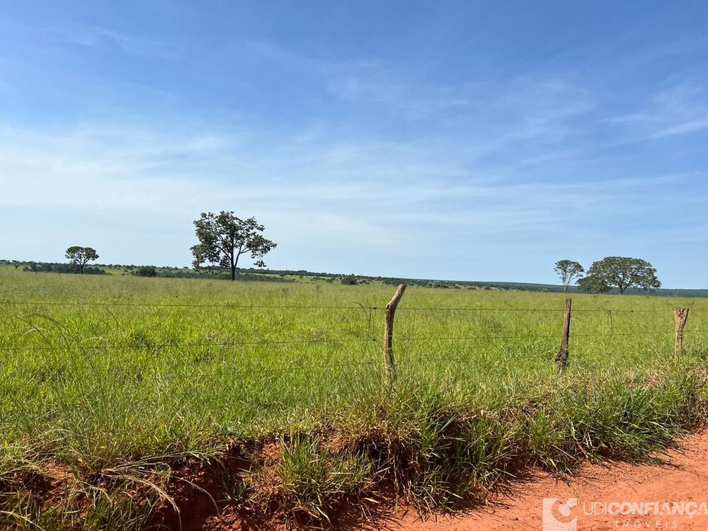 Fazenda à venda - Foto 5