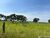 Fazenda-Sítio-Chácara - Foto 4