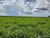 Fazenda-Sítio-Chácara - Foto 10