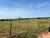 Fazenda-Sítio-Chácara - Foto 9