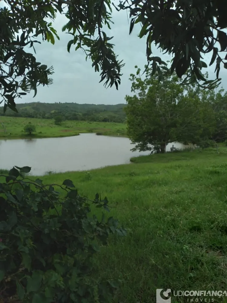 Fazenda - Foto 4