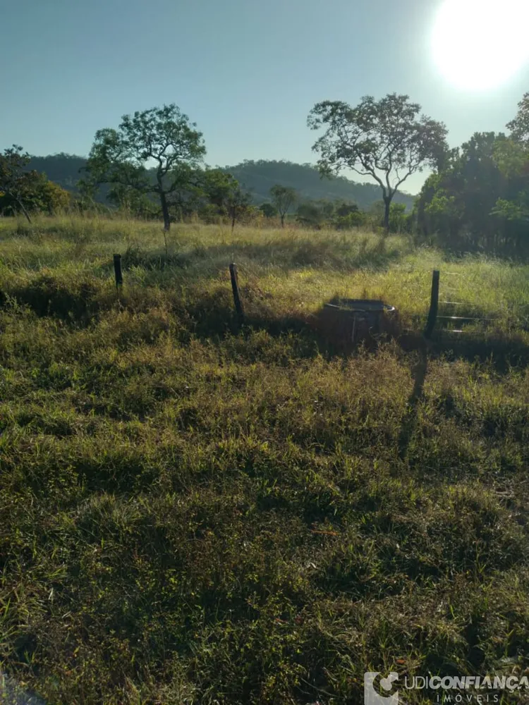 Fazenda - Foto 3