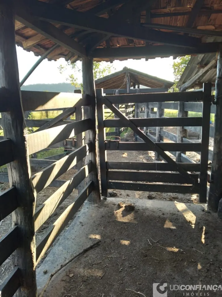 Fazenda - Foto 3