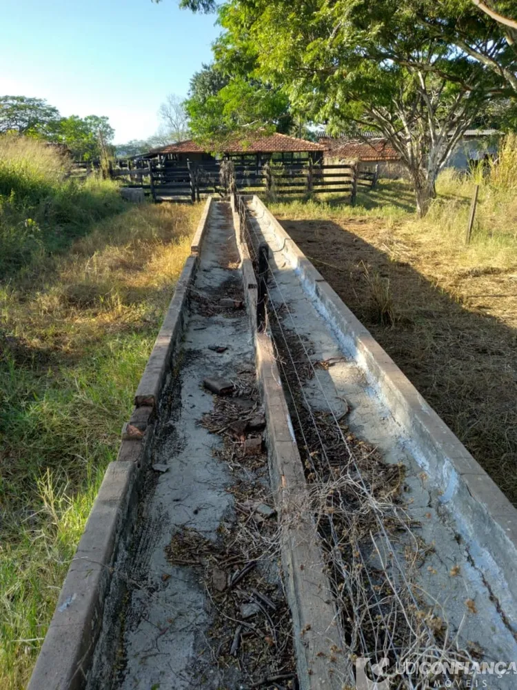 Fazenda - Foto 4