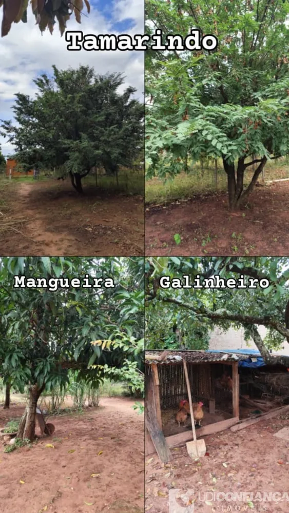 Chácara - Foto 2