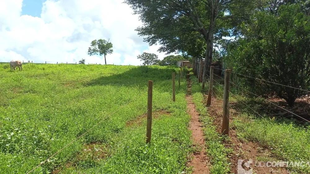 Sítio - Foto 11