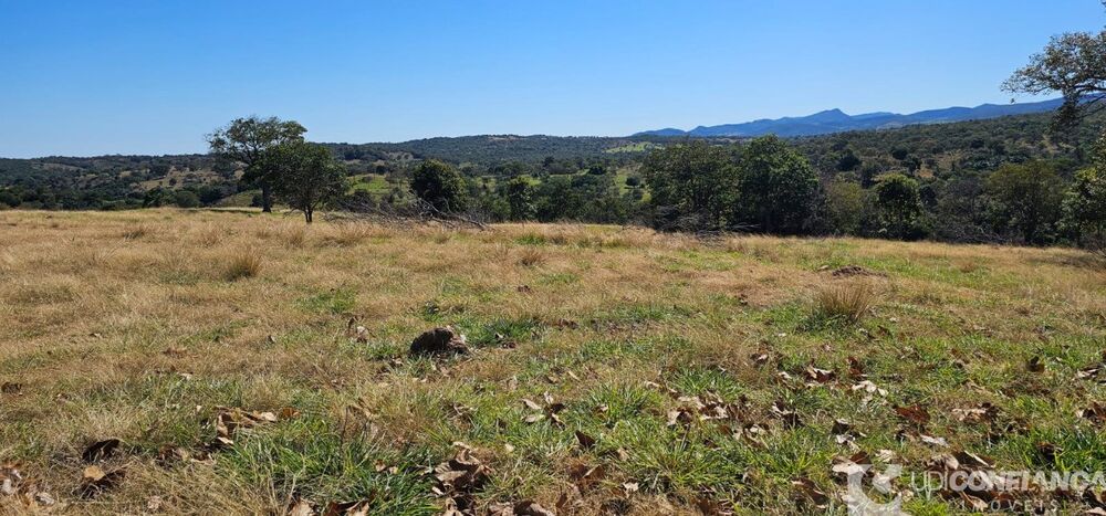 Fazenda à venda - Foto 3