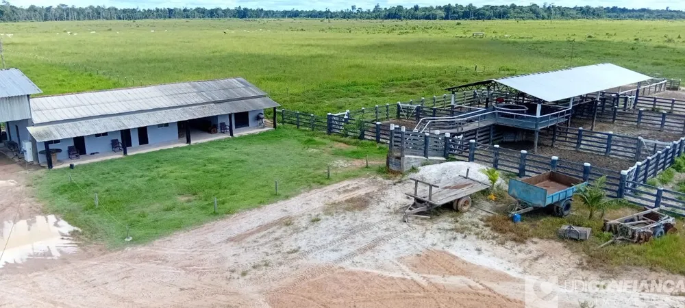 Fazenda - Foto 1
