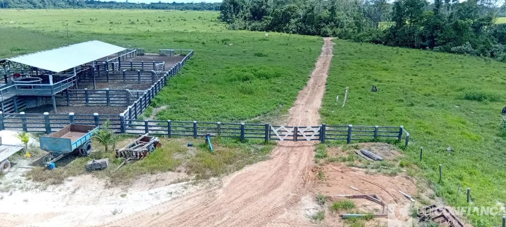 Fazenda - Foto 10