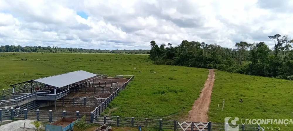 Fazenda - Foto 11