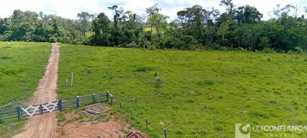Fazenda - Foto 4
