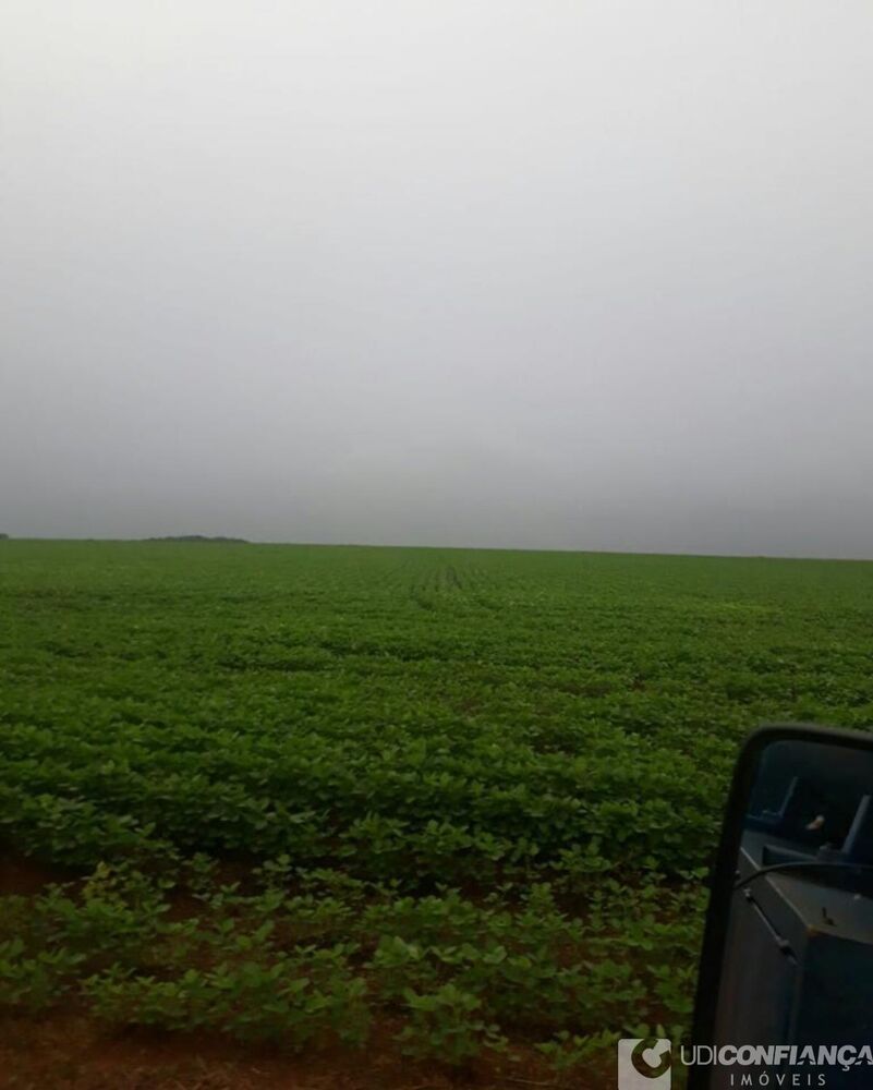 Fazenda - Foto 9