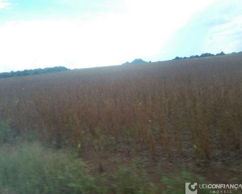 Fazenda - Foto 4