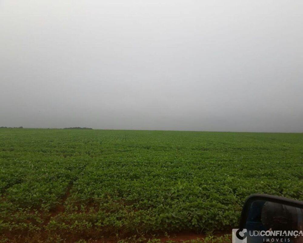 Fazenda - Foto 12