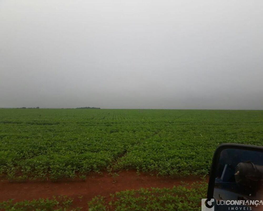 Fazenda - Foto 8