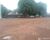 Fazenda - Foto 1