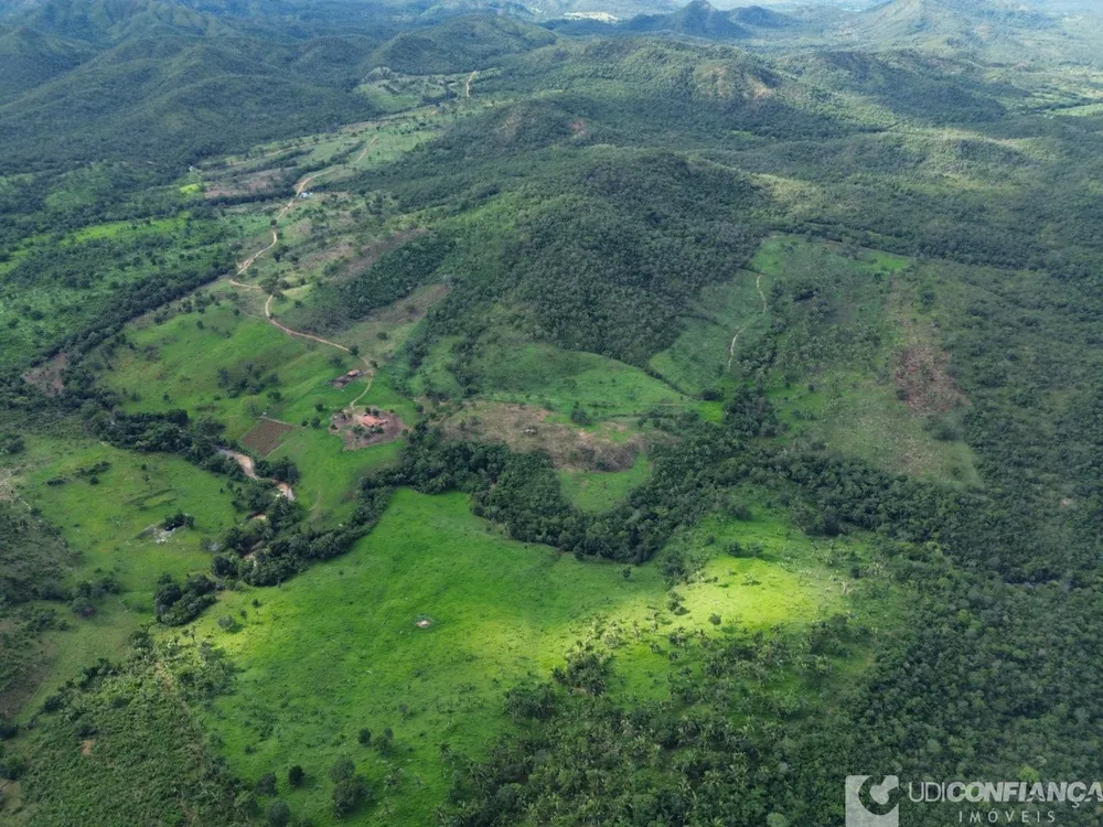 Fazenda - Foto 3