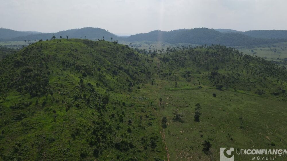 Fazenda à venda - Foto 4