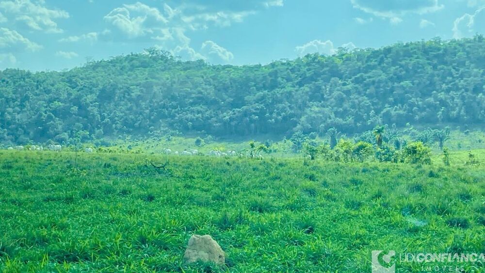 Fazenda à venda - Foto 2