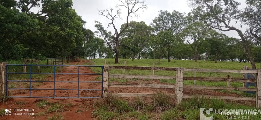 Fazenda - Foto 2