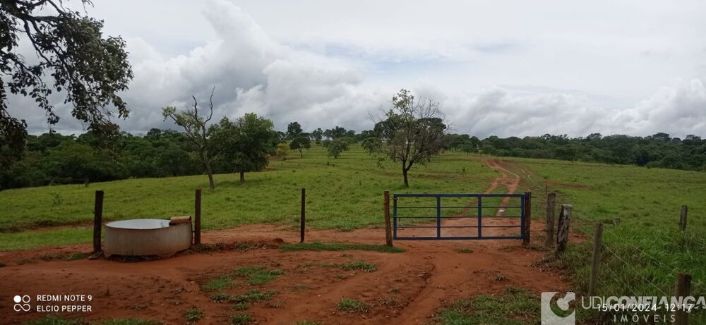 Fazenda - Foto 4