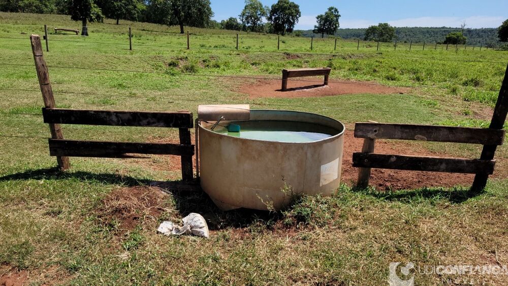 Fazenda - Foto 1