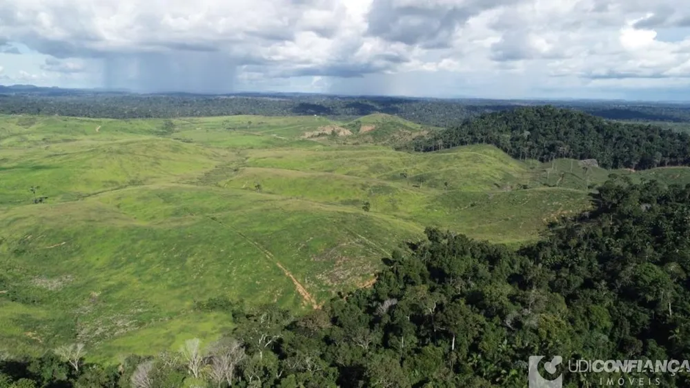 Fazenda - Foto 2