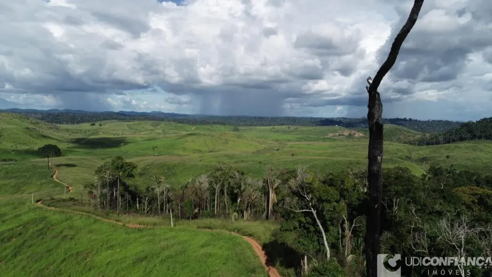 Fazenda - Foto 6