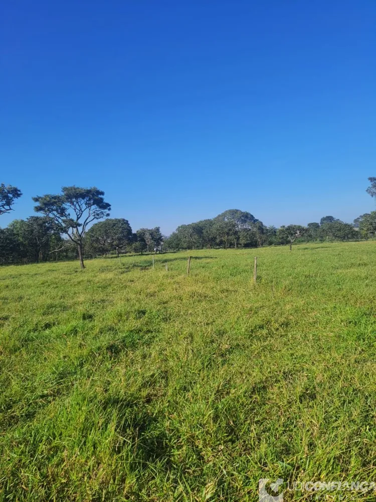 Fazenda - Foto 6