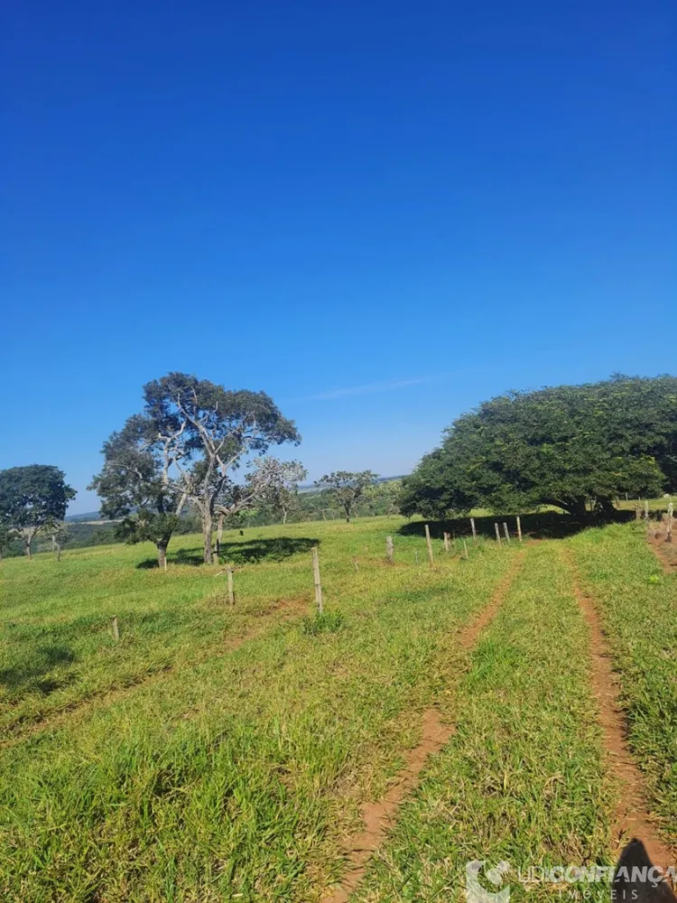 Fazenda - Foto 4