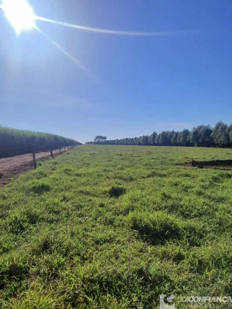 Fazenda - Foto 5