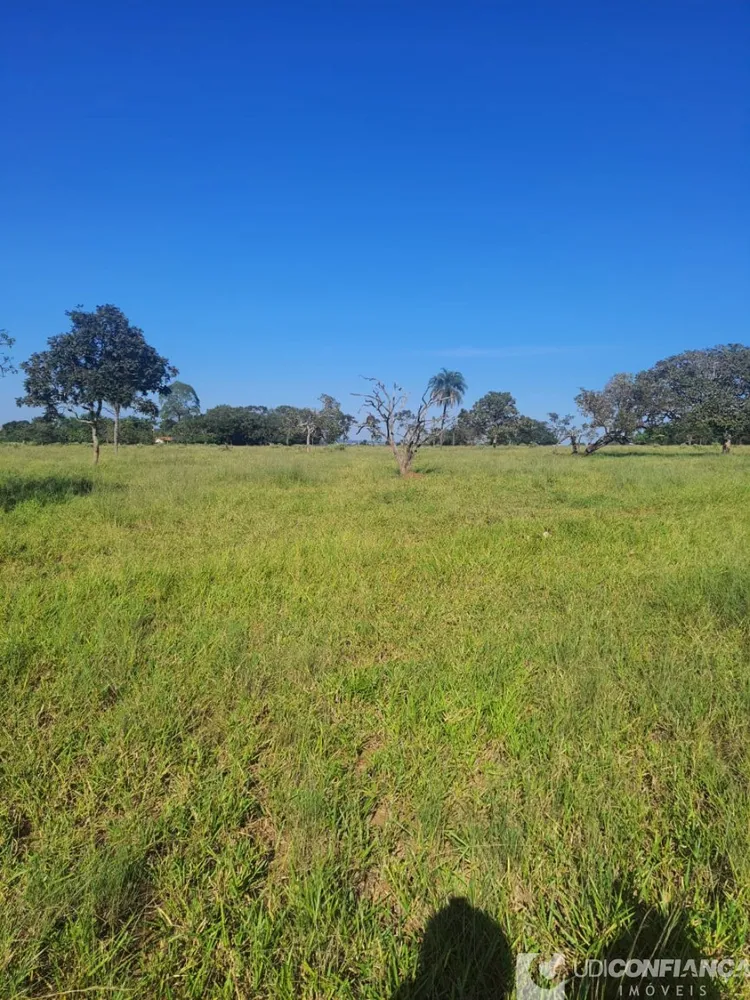 Fazenda - Foto 7