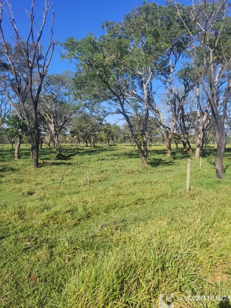 Fazenda - Foto 4