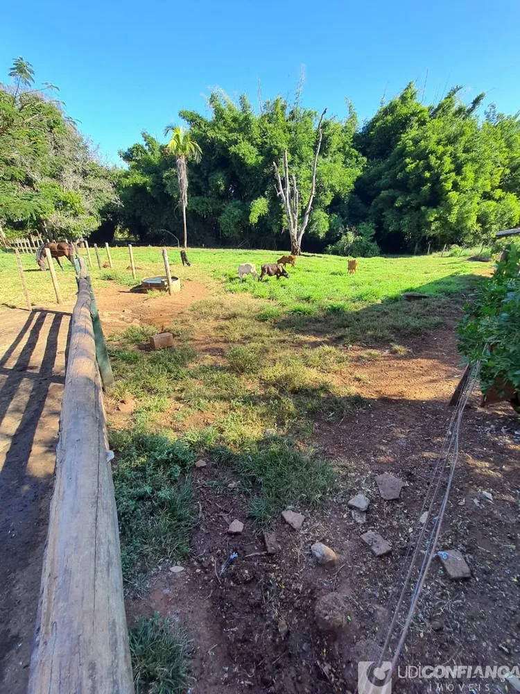 Fazenda - Foto 1