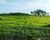 Fazenda-Sítio-Chácara - Foto 8