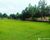 Fazenda-Sítio-Chácara - Foto 2