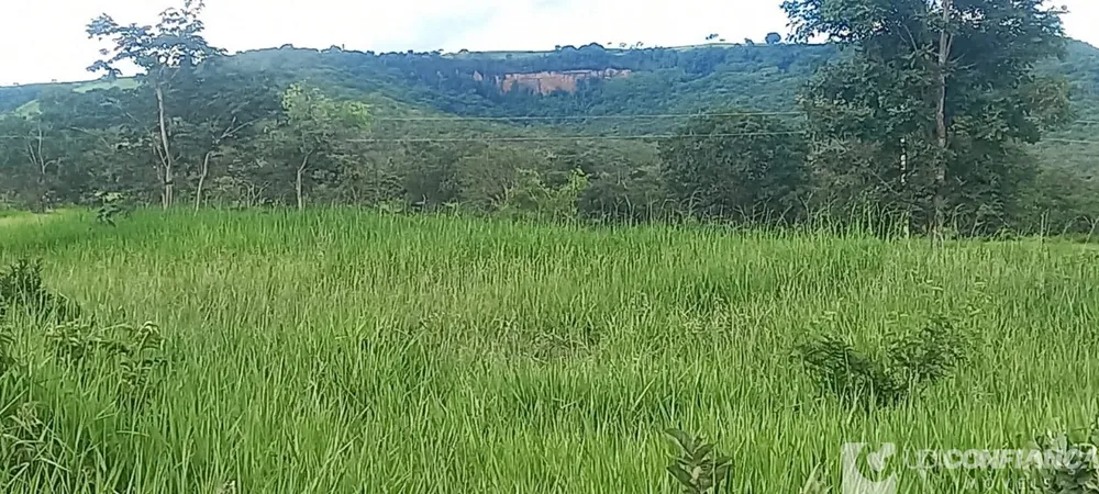 Fazenda - Foto 1