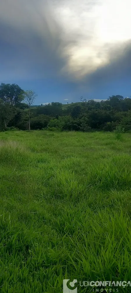 Fazenda - Foto 8