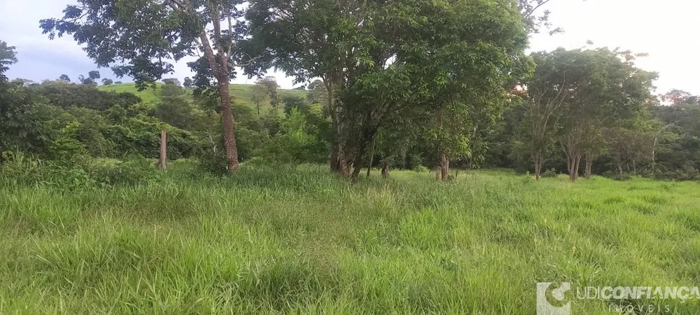 Fazenda - Foto 4