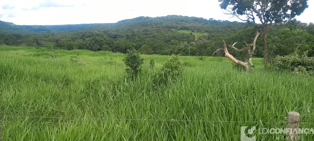 Fazenda - Foto 7