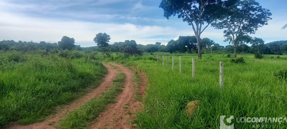 Fazenda - Foto 2