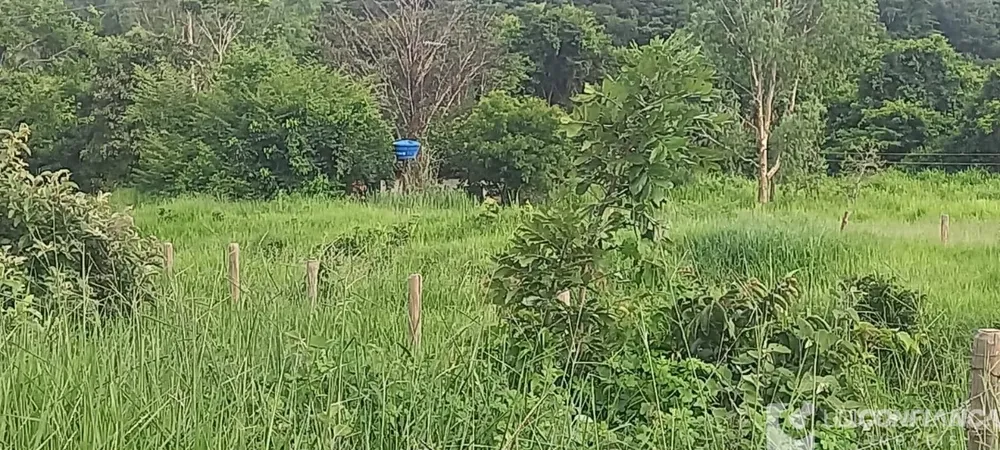 Fazenda - Foto 1
