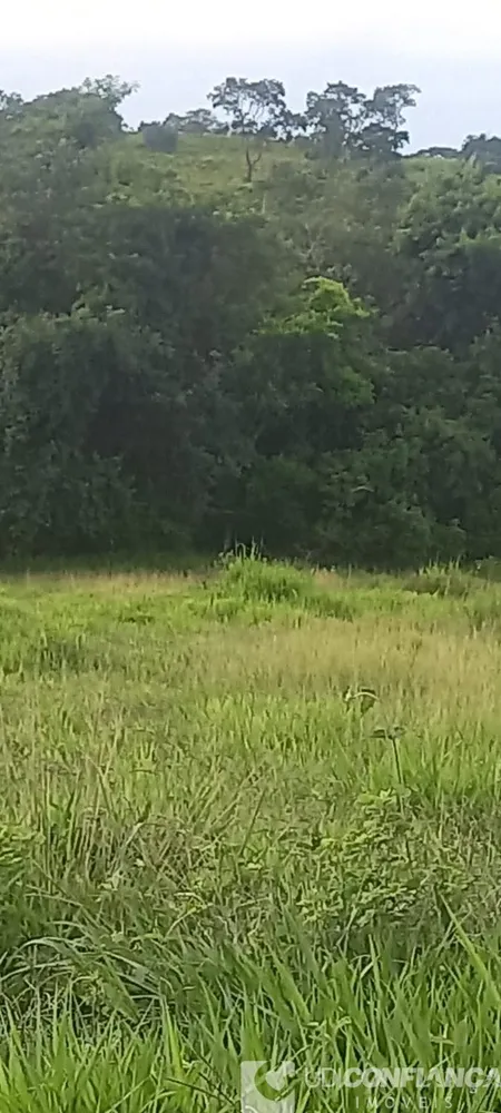 Fazenda - Foto 11