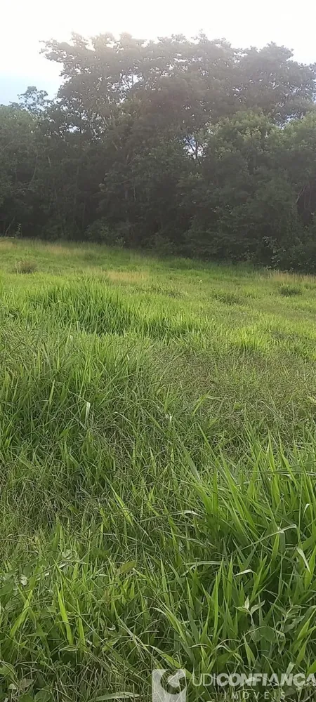 Fazenda - Foto 10