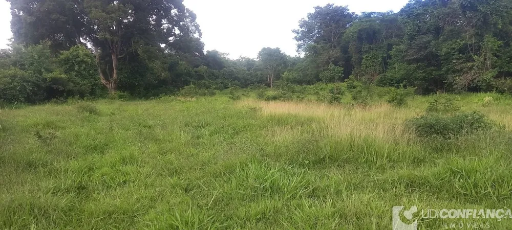 Fazenda - Foto 9