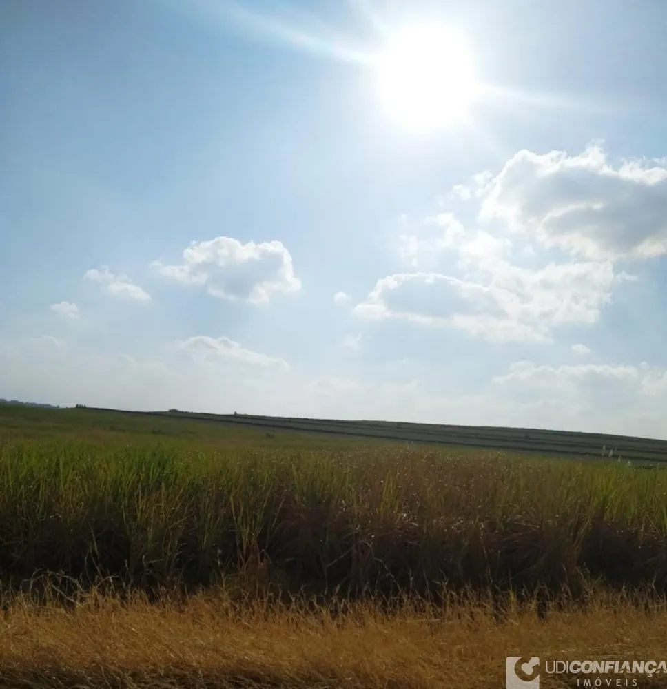 Fazenda - Foto 3