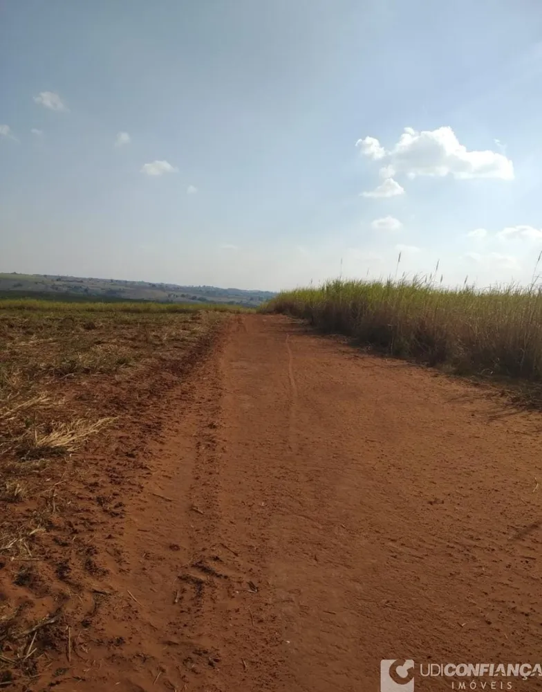 Fazenda - Foto 4