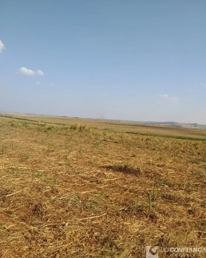 Fazenda - Foto 2